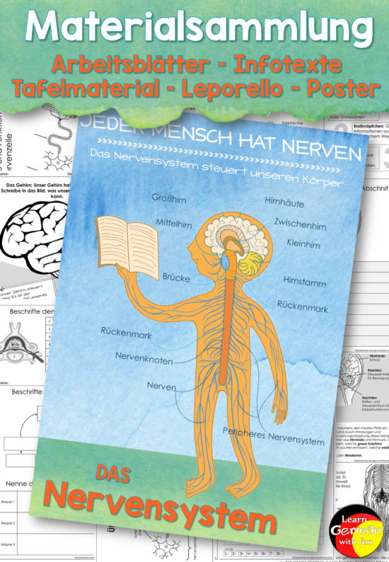 nervensystem Unterrichtsmaterial